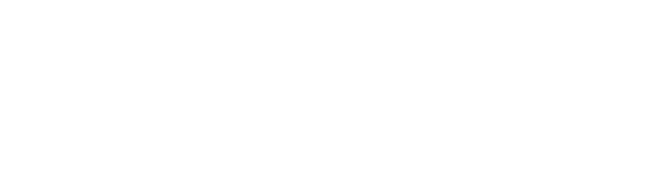 ornament-logo